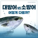 도심&바다 루원시티점 네이버블로그