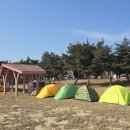 용현농협주유소 이미지