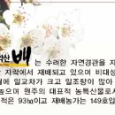 원주원예농협하나로클럽 이미지
