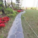 153공인중개사사무소 이미지