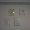 댕댕상점 이미지