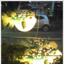 해금강복어 이미지