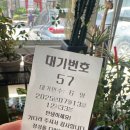 한여름밤의 꿈 | 한여름밤의 꿈 KBO 올스타전 직관 후기