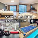 풀스테이더네이쳐홍천B | 강원도 홍천 비발디파크 특가! 오션월드 숙소 패키지 숙박세일페스타 3만원 할인예약팁