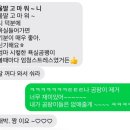 백서클린 | 살림백서 곰팡이백서 + 닥터클린 곰팡이제거제 후기 ( 부제 : 화장실 곰팡이 청소 템빨로 즐긴다 )