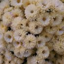 미르공인중개사사무소 이미지