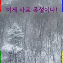 하얀네일 이미지