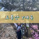 도봉산역(7호선) 화장실 | 도봉산 Y계곡 등산 | 신선대, 주차, 난이도, 마당바위, 암릉산행, 블랙야크 100대 명산