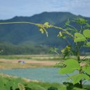 광야축산 이미지