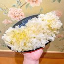 땅콩축산 이미지