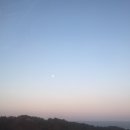 김명자 낙지마당 - 화성시 | 김명자 낙지마당