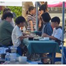 바둑 | 2025 정조대왕 효 전국바둑축제 참가 후기