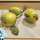 정성 가득 한글서예 이미지