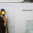 안다켄넬반려견을품에안다