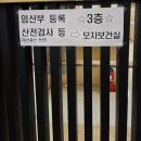 더이상 임신호소인이 아니라 임신한 사람이 된 후기
