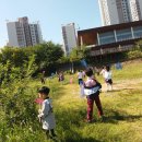 새예지유치원 이미지