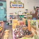 늘푸른수지 이미지