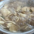 <2020 바닥소리 가족극 페스티벌> 닭들의 꿈, 날다 | 2023 인천 펜타포트 락페스티벌 후기