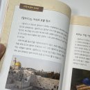여우이야기 - 화성시 화산중앙로 37 | 탈무드, 엄마와 아이 독서 클래스 49기 5월 후기
