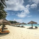 소울메드 이미지