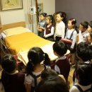 숲리라유치원 이미지