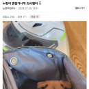 우리 물류창고에 애기 멍멍이 들어옴 이미지