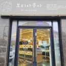 대박뽑기샵 | 향남파충류샵 보리아쿠아 화성수족관 구피 분양후기 도마뱀 좋아하는 아이와 다녀온 화성파충류샵