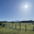 다원발전소 이미지