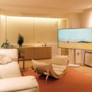 미대언니 이미지