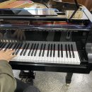 브니엘예술중학교 이미지