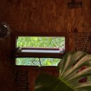 카페 까멜리아 | [포항 여행] 포항 구룡포 일본가옥거리 동백꽃 까멜리아카페 후기