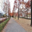 이지더원공인중개사사무소 이미지