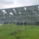 광은농장 이미지