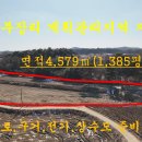 매물번호:1000-223,음암면 부장리 중앙병원뒤편 지목(임) 답으로경작중1,358평 매가 3.3㎡15만원 이미지