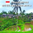 테라스 | 발리 우붓 뜨갈랄랑 라이스 테라스 후기｜입장료·시간·스윙 꿀팁 총정리