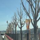 두부오락실 | [공주] 제9회 겨울공주 군밤축제 후기 충청도 축제 주차 아이와 가볼만한곳