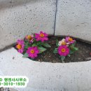 빛고을 행정사 사무소 이미지