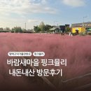 바람새마을 | 바람새마을 핑크뮬리 내돈내산 방문후기