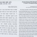 양파시배지 Daum카페