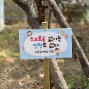 신영유치원 이미지