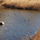 까치부분정비 이미지