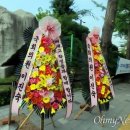 [단독] 즉시 제지? 광주제일고 야구부장 "우리 항의받고서야 제지" - 수정중 이미지