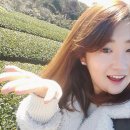 다원산장 이미지