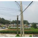 평택토지공인중개사사무소 이미지