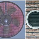 배연식당 이미지