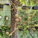 하오산 국가공인 행정사사무소 이미지