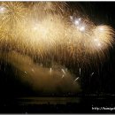 포항불빛축제 사진 이미지