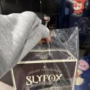 폭스 | 슬라이폭스 케이크 내돈내산 후기