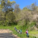 능북초등학교 이미지