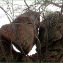 도계마을 이미지